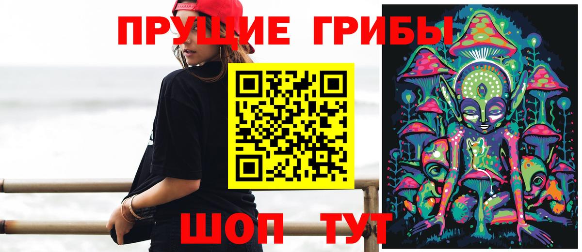 хочу наркоту  Вход с VPN  Владивосток  Галлюциногенные грибы Cubensis 